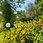 Voi Floriana 4*
