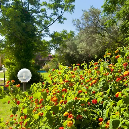 Voi Floriana 4*